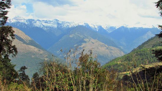 wieder ein herrlicher Ausblick