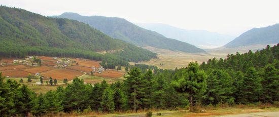 Dann fahren wir herunter ins Tal, hier ist unser Stellplatz auf einer großen Wiese, es regnet, aber nur kurz, es ist recht kühl.