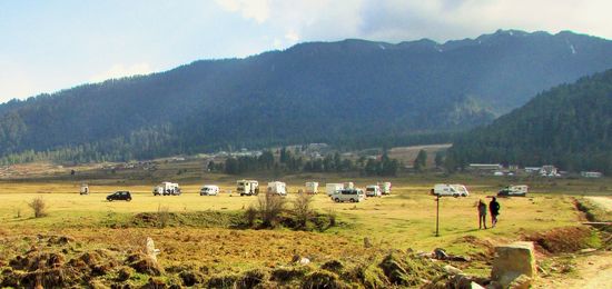 unsere Autos auf der Wiese