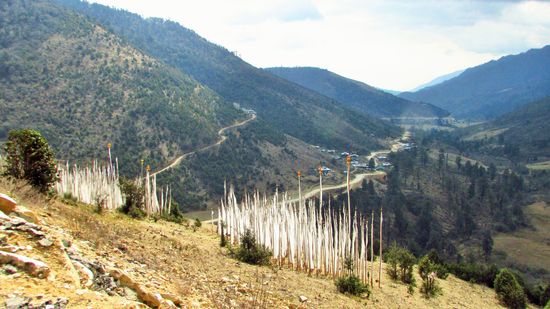 Vor uns liegt die Straße.
