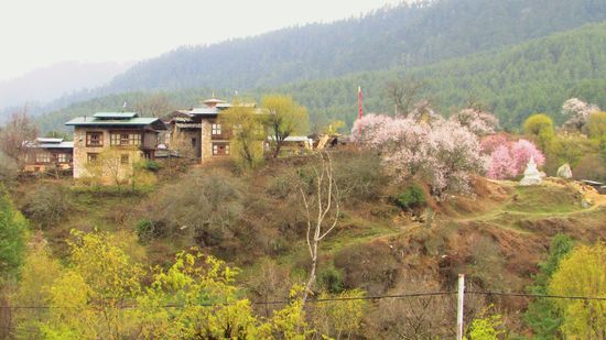 Der Frühling läßt sich nicht aufhalten.