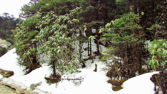 Bei 3.757 m kommen wir sogar noch in den Schnee, rechts und links der Straße liegen noch einige Schneefelder.