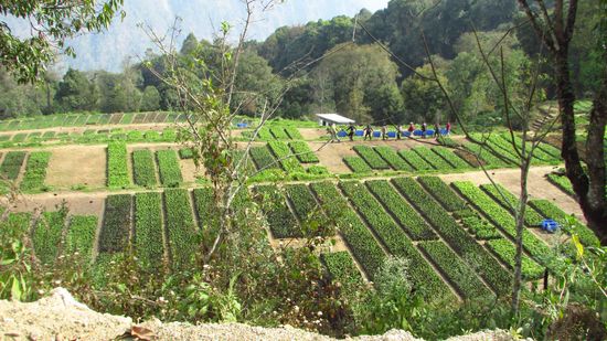Aber bevor dorthin kommen, müssen wir noch diese Kurve bewältigen.