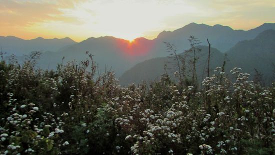 Abends aber dann noch der Sonnenuntergang und die blühenden Blumen.