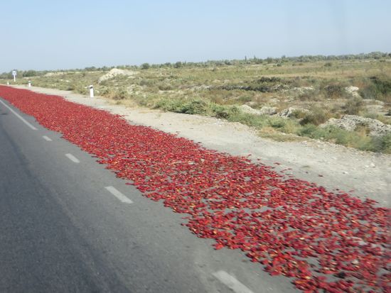 An der Straße werden die kleinen Chilischoten getrocknet, wir fahren immer wieder an solchen Stellen vorbei.
