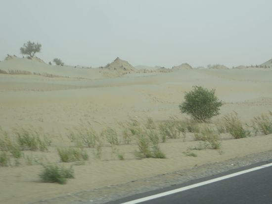 die Taklamakan