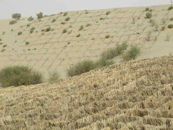 Durch die Strohkarrees wird der Sand festgehalten