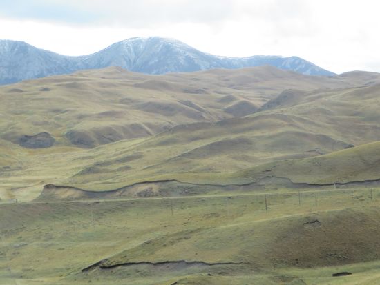 Wir fuhren weiter durch sanfte Hänge, an denen große Yakherden oder Ziegen und Schafen weideten. Im Hintergrund waren die hohen Berge, teilweise leicht mit Schnee bedeckt.