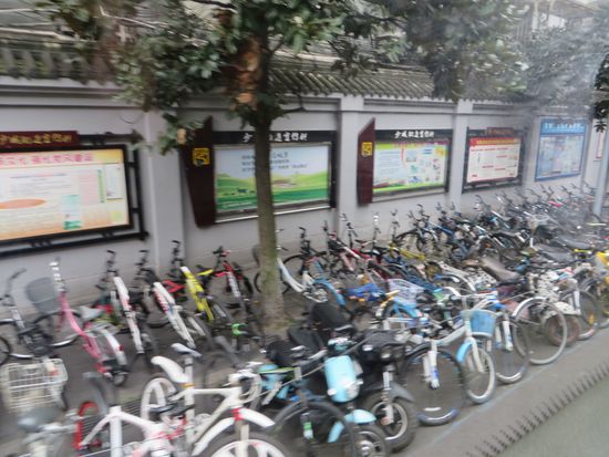 Fahrräder sind neben E-Roller das meist benutzte Fortbewegungsmittel.