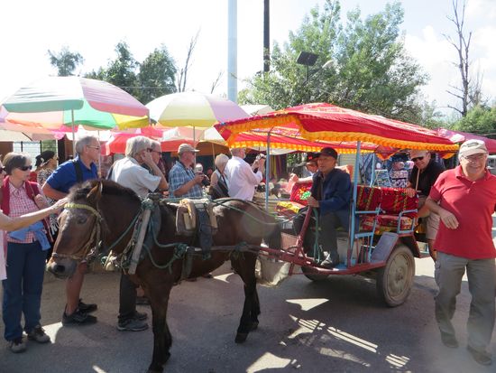 mit diesen kleinen Kutschen gings zum See