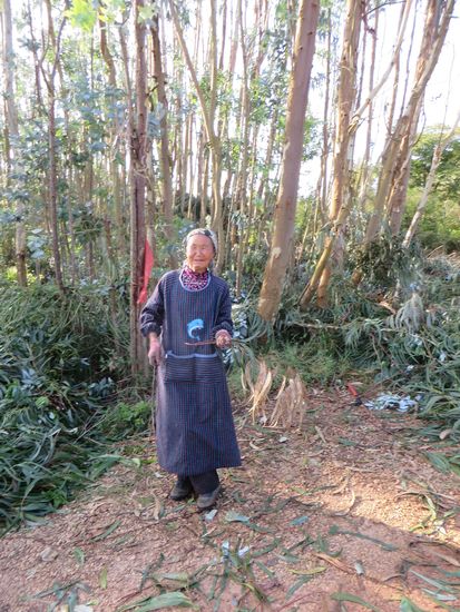 die fröhliche Arbeiterin