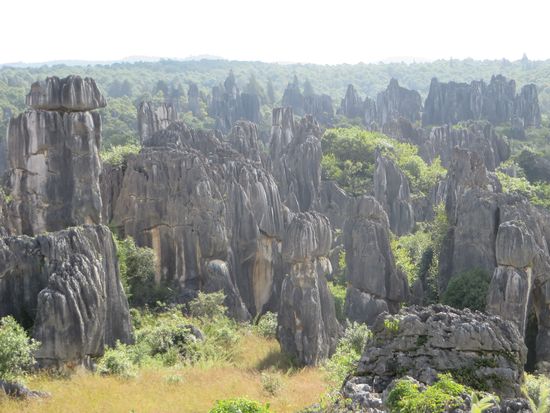 Es gab so viel zu fotografieren!