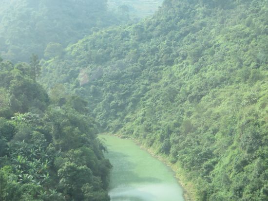 grün und undurchdringlich