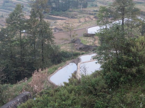 Die Reisterrassen – auch Weltkulturerbe