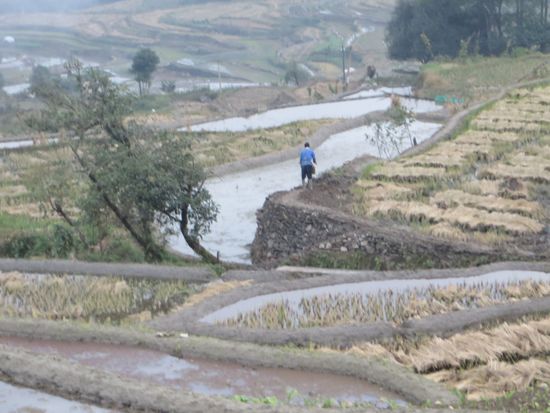 Leider war es schon spät und es wurde dunkel, so daß wir zum Wagen zurückkehrten.