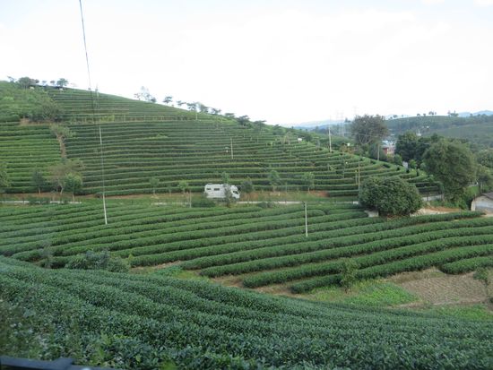 Wir fuhren dann in Puer in eine hinein, denn dort ist unser Übernachtungsplatz.