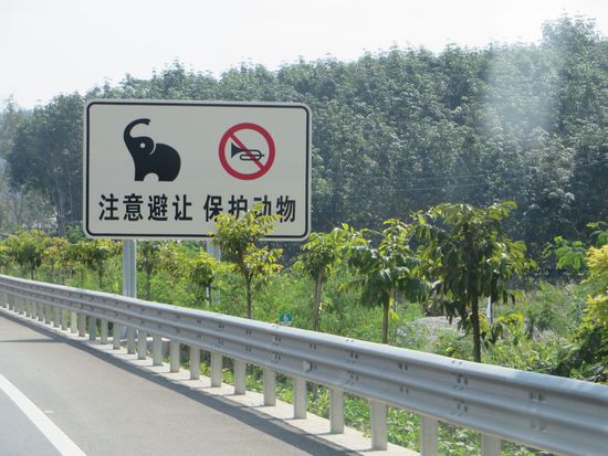 Einen Elefanten haben wir nicht gesehen, wir haben aber auch nicht gehupt.