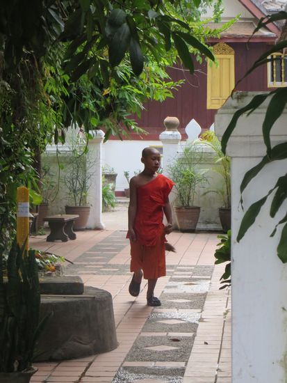 Überall arbeiten die Mönche, die kleinsten fegen den Boden.