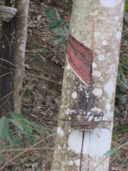 so wird das "Gummi" aufgefangen