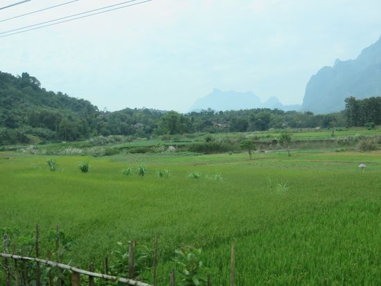 Reisfelder liegen im Tal