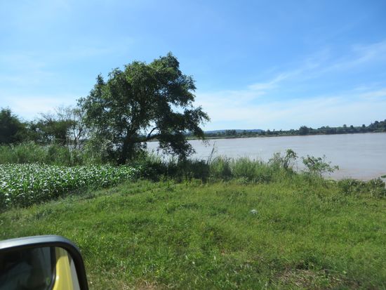Die Straße führt uns am Mekong entlang, wir suchen einen Platz mit Blick auf den Fluss zur Mittagspause, finden aber leider keinen.