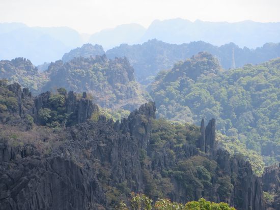 Im Wald erkennt man die Steinformationen