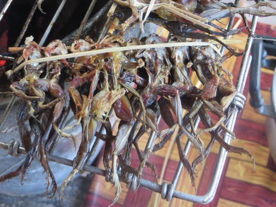 Es gab beim Eingang ein kleines Lokal, die Spezialität des Hauses waren gegrillte Frösche -  
Probiert haben wir aber keinen.