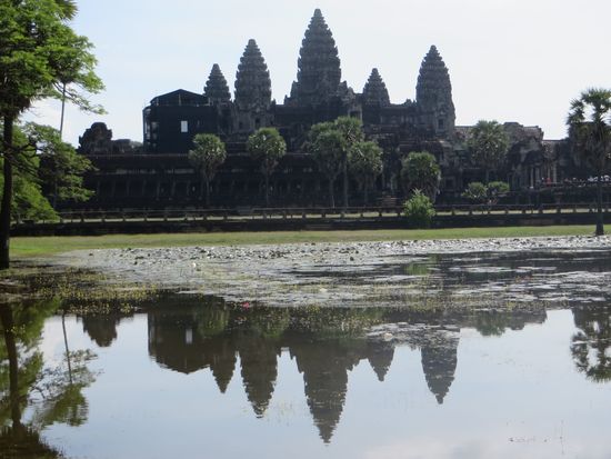 ein schöner Blick auf die gesamte Tempelanlage des Haupttempels