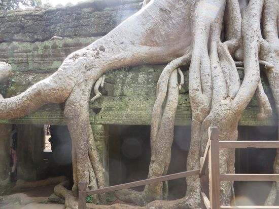 die Gewalt der Natur