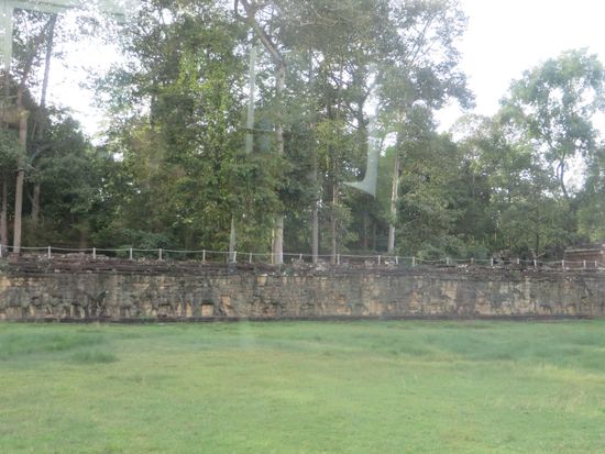 die Elefantenterrasse