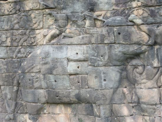 ein einzelner Elefant