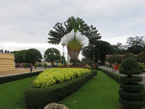 der Garten war herrlich angelegt  und wir fanden einen „Baum des Reisenden“, wie wir ihn schon in Madagaskar gesehen haben.