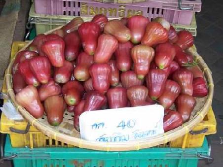 Rose Apple