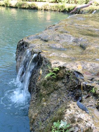 Die Becken sind auch ganz schoen tief, sonst wuerde die ja auch nicht kopfueber reinspringen