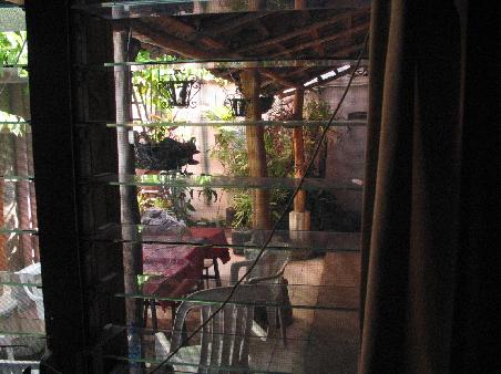 Blick aus meinem Fenster