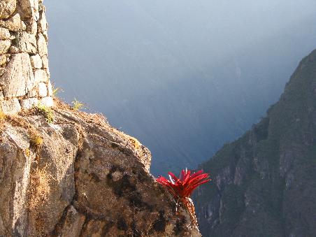 Abendstimmung kommt auf in Machu Picchu