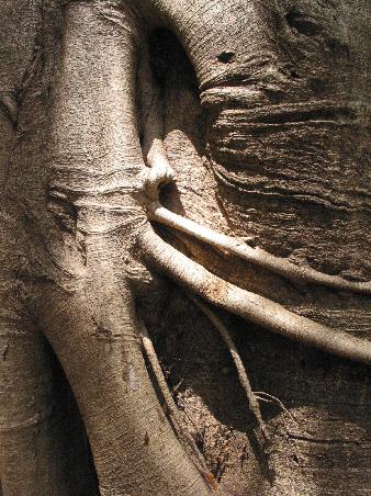 H.R.Giger laesst gruessen. Finde ich.