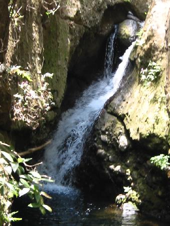 Wasser mit Zeug drumrum = Fluss