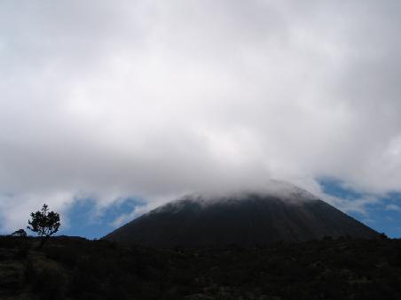 Vulkan Pacaya: Einer von 33 Vulkanen in Guatemala und ebenso einer der 3 Aktiven