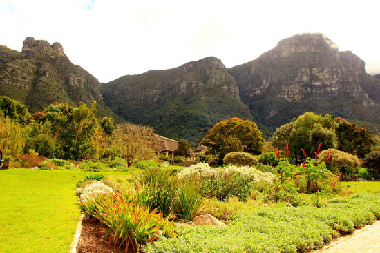 Botanischer Garten Kirstenbosch