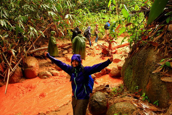 Juhuuu im Regen durch den Regenwald, was für ein Erlebnis Pflotsch nass sind wir