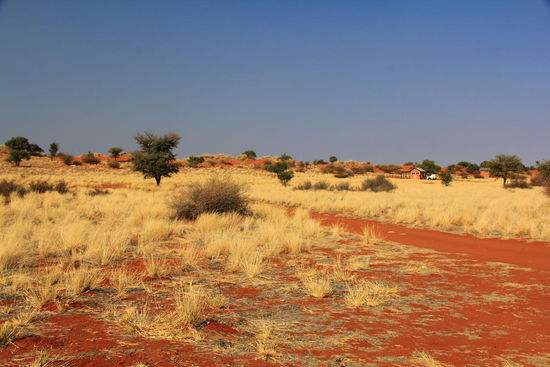 Rechts in der Mitte ist das nächste Häuschen zu sehen...An Privatsphäre mangelt es nicht 