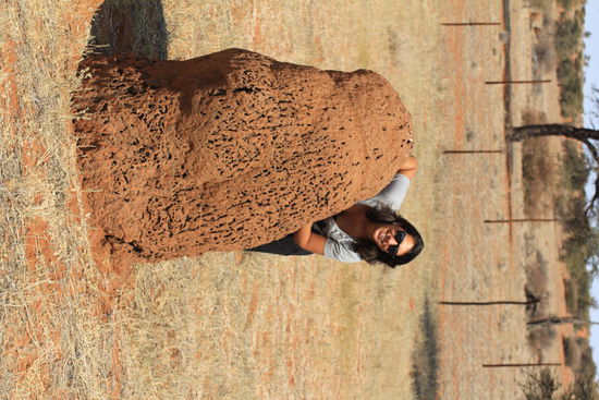 Überall riiisen Termitenhaufen...