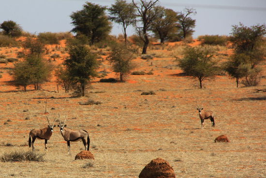 Und jetzt noch "cheeeese"