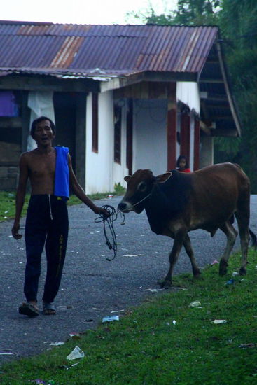 Romantischer Abendspaziergang wie man sich ihn vorstellt