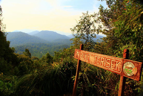 Unser höchster Punkt: Der Bukit Teresek auf 344m
