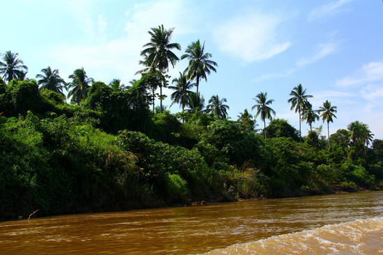 Die Bootsfahrt nach Kuala Tembeling