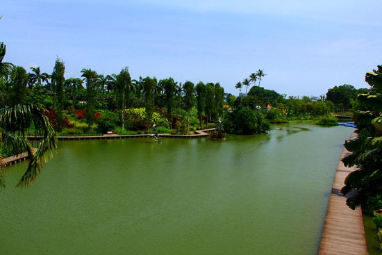 Gardens by the bay: Ein 101 Hektar großes Parkgelände, das auf künstlich aufgeschüttetem Land angelegt wurde