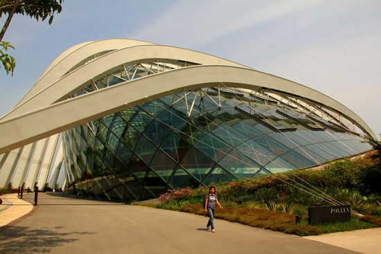 Hier drinnen befinden sich der Cloud Forest sowie Flower Dome