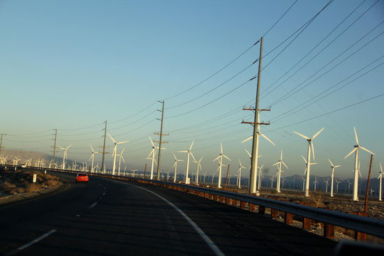 Auf der Fahrt Richtung Joshua Tree N.P. stehen Windräder zu Hunderten